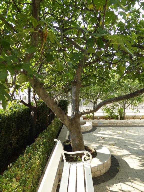 Apartments Bojanic Vodice Eksteriør billede